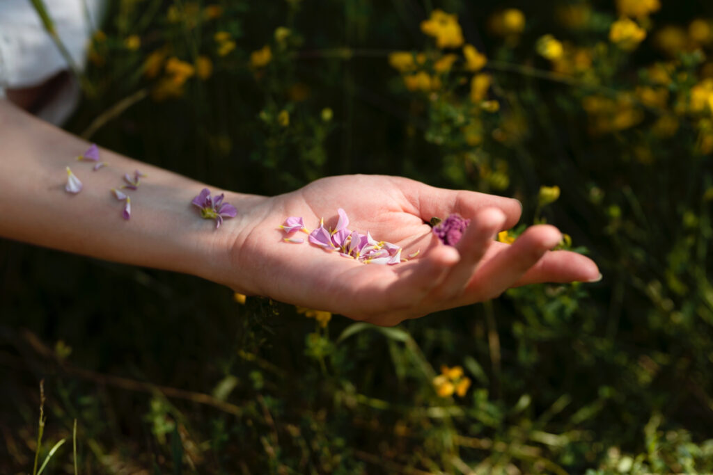 kneipp verein schlangen